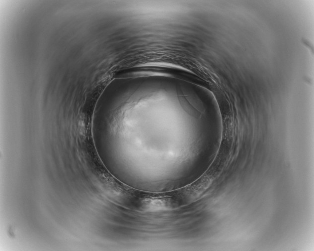 X0000094370655200711021531