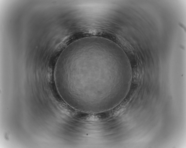 X0000094370656200711021531