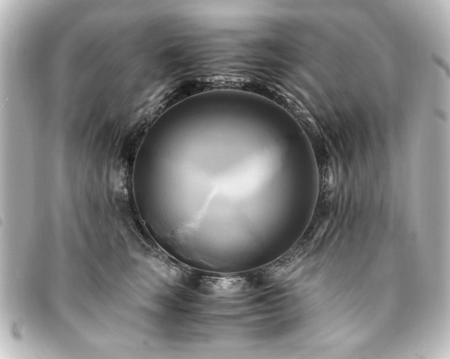 X0000094370663200711021531