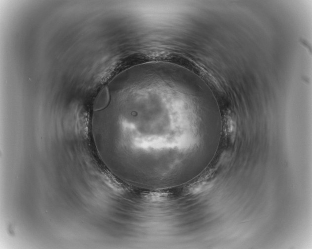 X0000094370664200711021531
