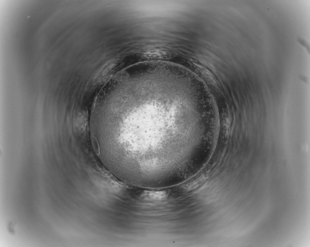 X0000094370665200711021531