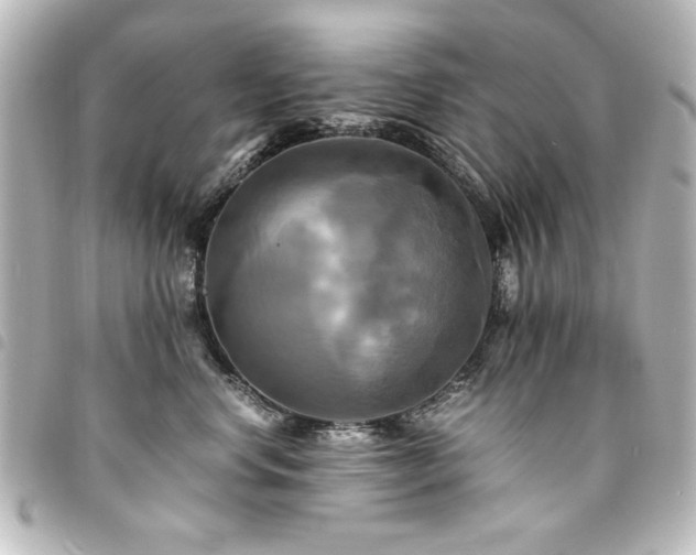 X0000094370668200711021531
