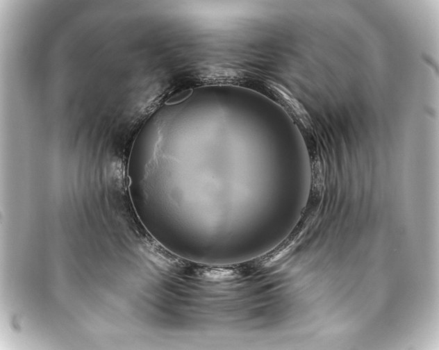 X0000094370669200711021531