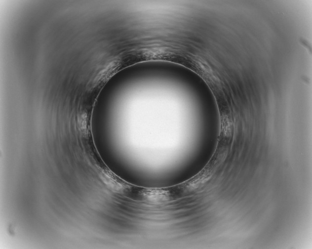 X0000094370670200711021531