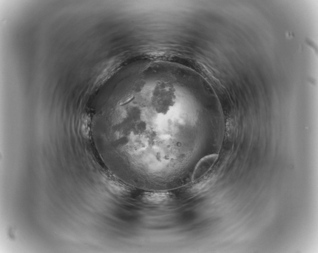 X0000094370671200711021531