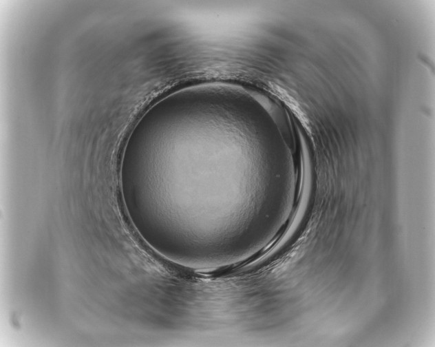 X0000094370673200711021530