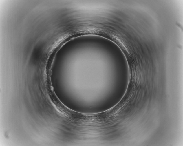 X0000094370674200711021530