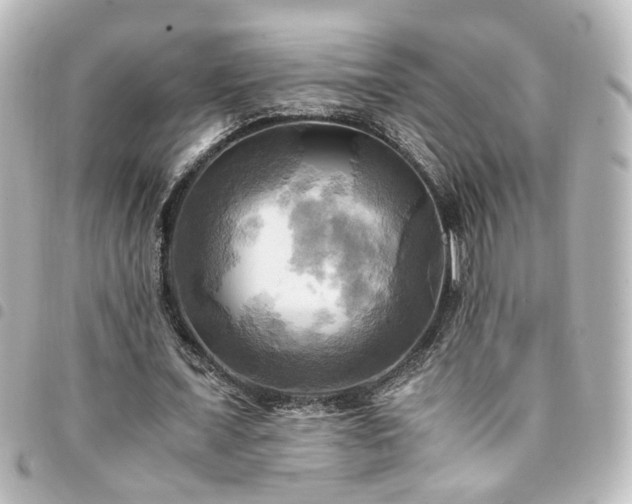 X0000094370675200711021530