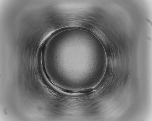 X0000094370676200711021530