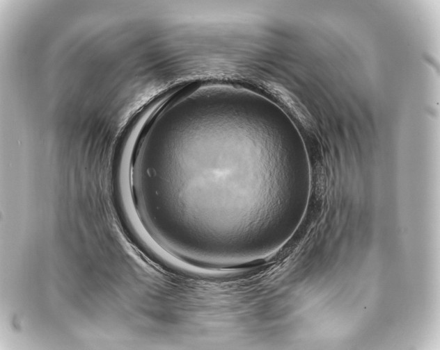 X0000094370677200711021530