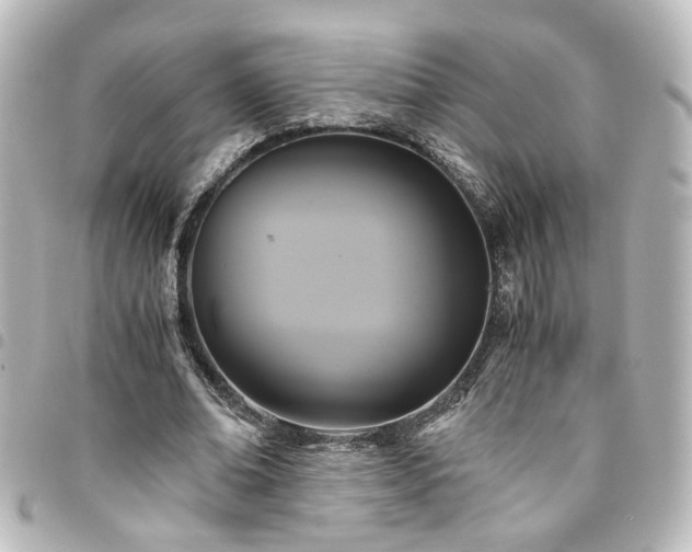 X0000094370678200711021530
