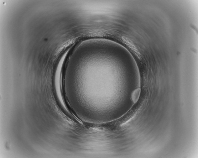 X0000094370681200711021530