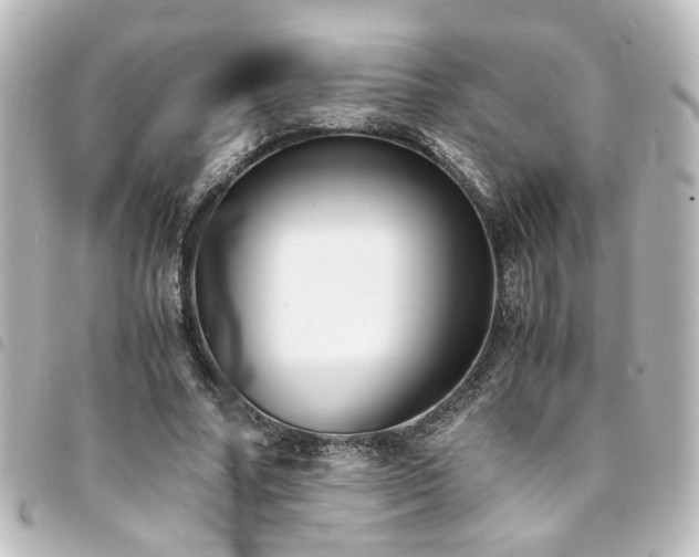 X0000094370682200711021530
