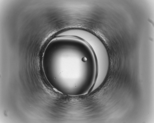 X0000094370684200711021530
