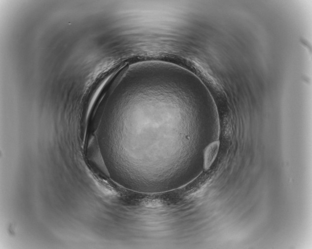 X0000094370685200711021530