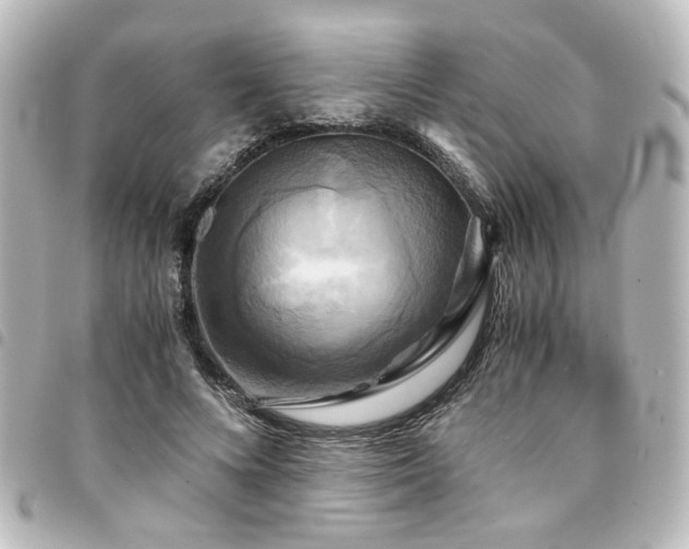 X0000094370688200711021530