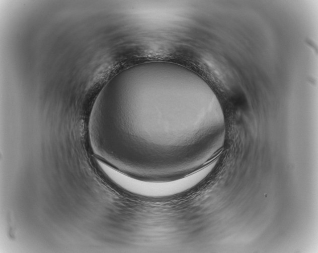 X0000094370689200711021530