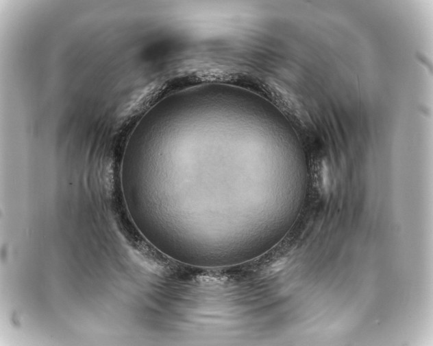 X0000094370690200711021530