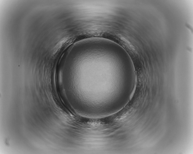 X0000094370693200711021530