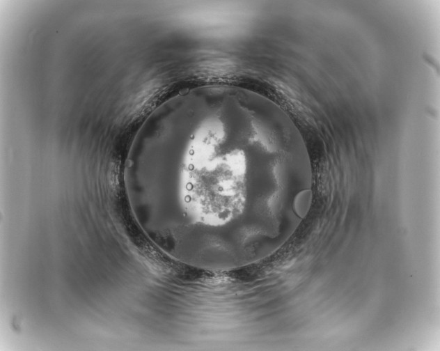 X0000094370695200711021530