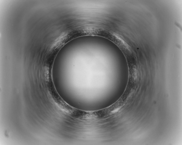 X0000094370696200711021530