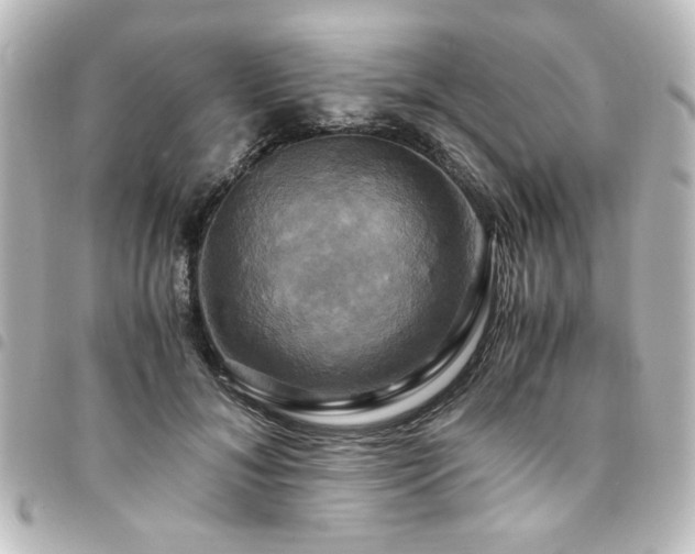 X0000094370700200711021530