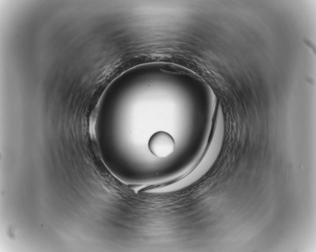 X0000094370704200711021530