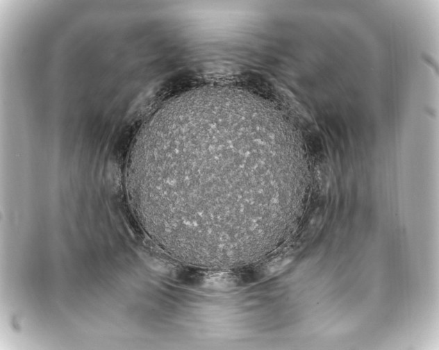 X0000094370705200711021530