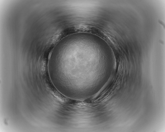 X0000094370708200711021530