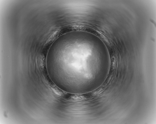 X0000094370712200711021530
