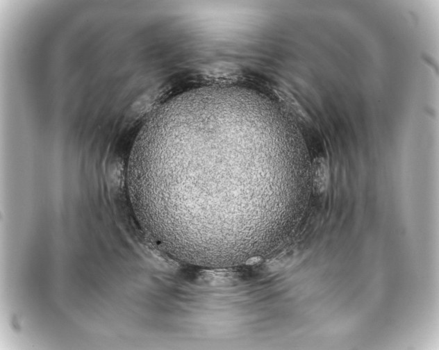 X0000094370713200711021530