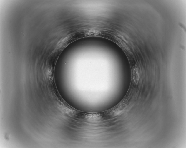 X0000094370714200711021530