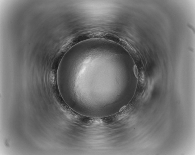 X0000094370715200711021530