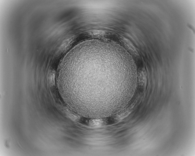 X0000094370717200711021530