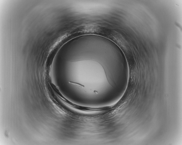 X0000094370722200711021529