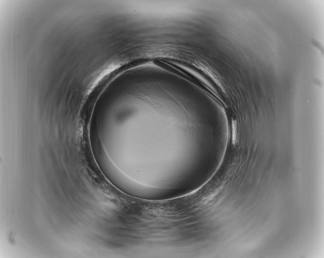 X0000094370723200711021529