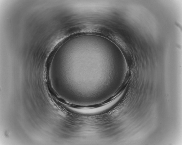 X0000094370724200711021529