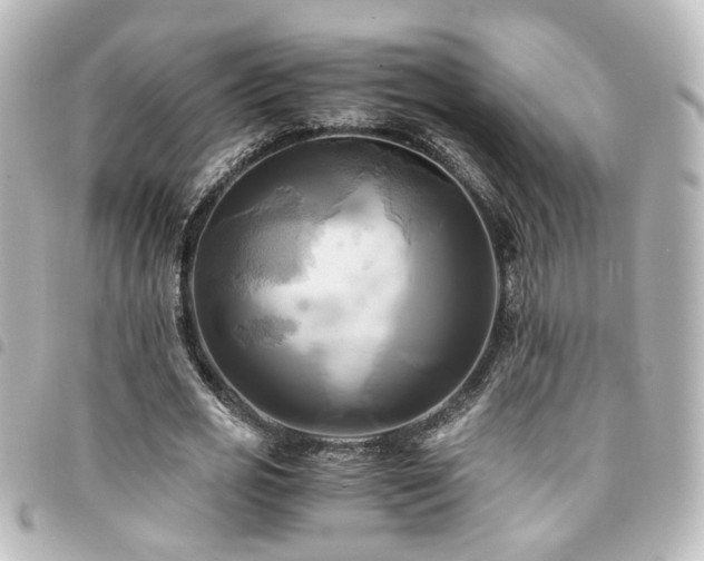 X0000094370725200711021529