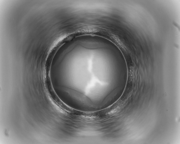 X0000094370726200711021529