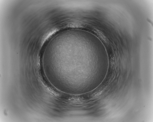 X0000094370727200711021529