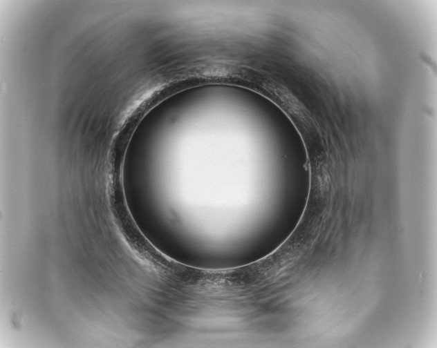 X0000094370728200711021529