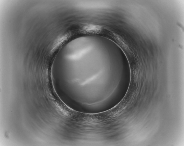 X0000094370729200711021529