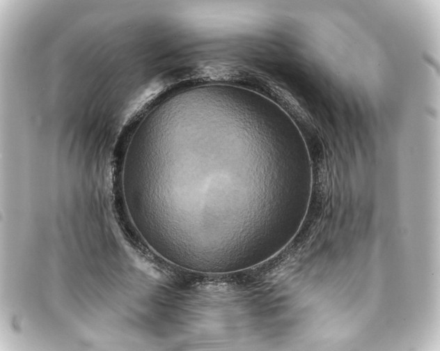 X0000094370730200711021529