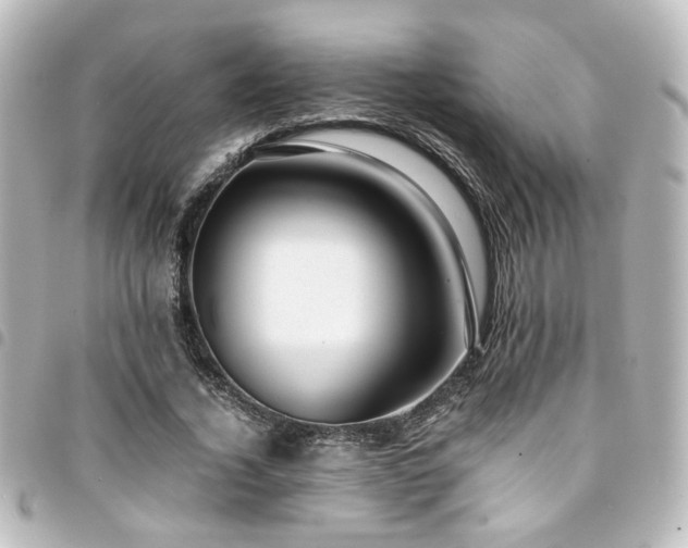 X0000094370732200711021529