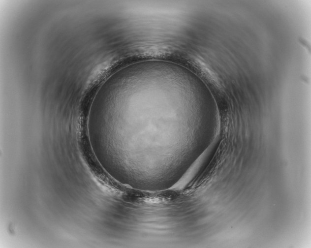 X0000094370736200711021529