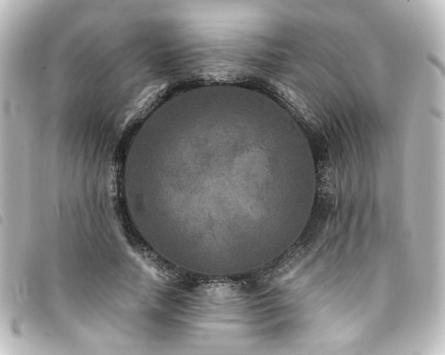 X0000094370738200711021529
