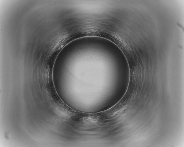 X0000094370739200711021529