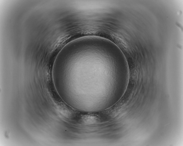 X0000094370743200711021529