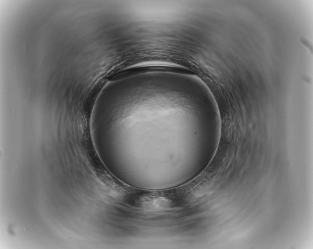 X0000094370747200711021529