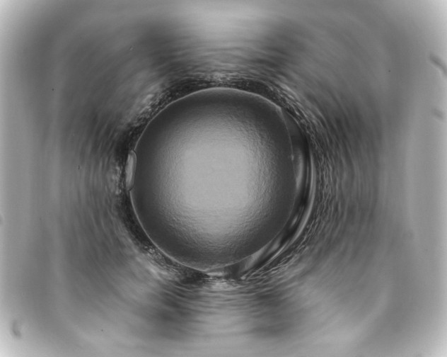 X0000094370750200711021530